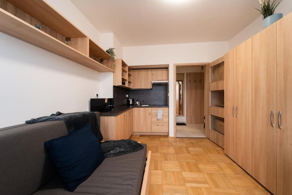Studio Apartment In Brno-Center Esterno foto